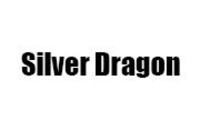 Silver Dragon