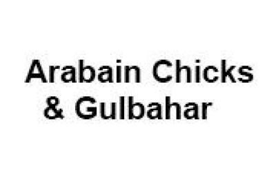 Arabian Chick & Gulbahar
