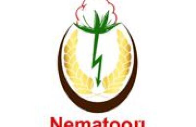 Nematoon Restaurant