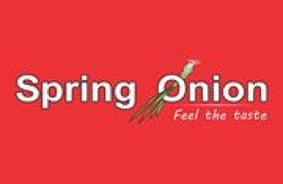 Spring Onion Gujrat