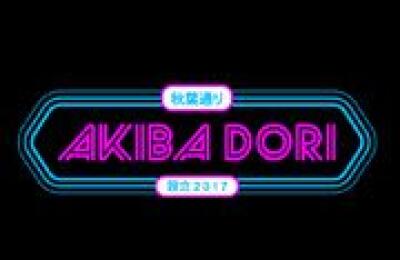 Akiba Dori