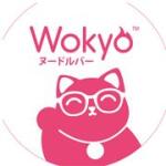 Wokyo Noodle Bar 