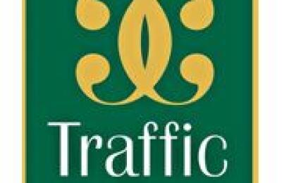 Traffic Cafe