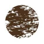 Varq Indian Cuisine Restaurant