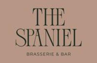 The Spaniel