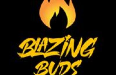Blazing Buds
