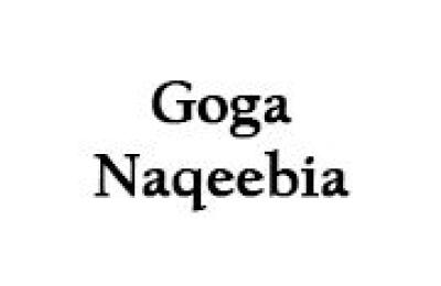 Goga Naqeebia