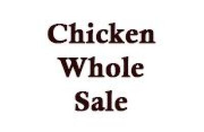 Chicken Whole Sale