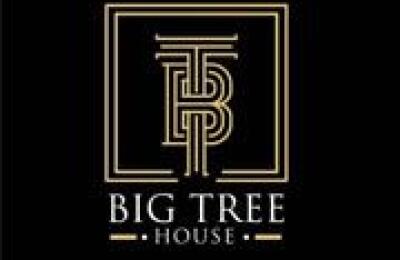 Big Tree House