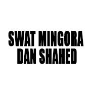 Swat Mingora Dan Shahed
