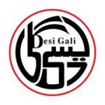 Desi Gali