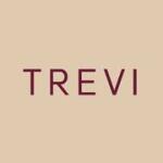 Trevi