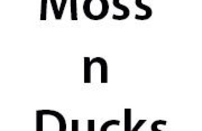 Moss n Ducks