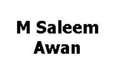 M Saleem Awan