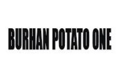 Burhan Potato One