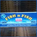 Fish N Fish