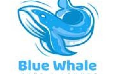 Bluewhale