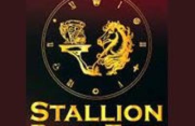 Stallion Pizza Time